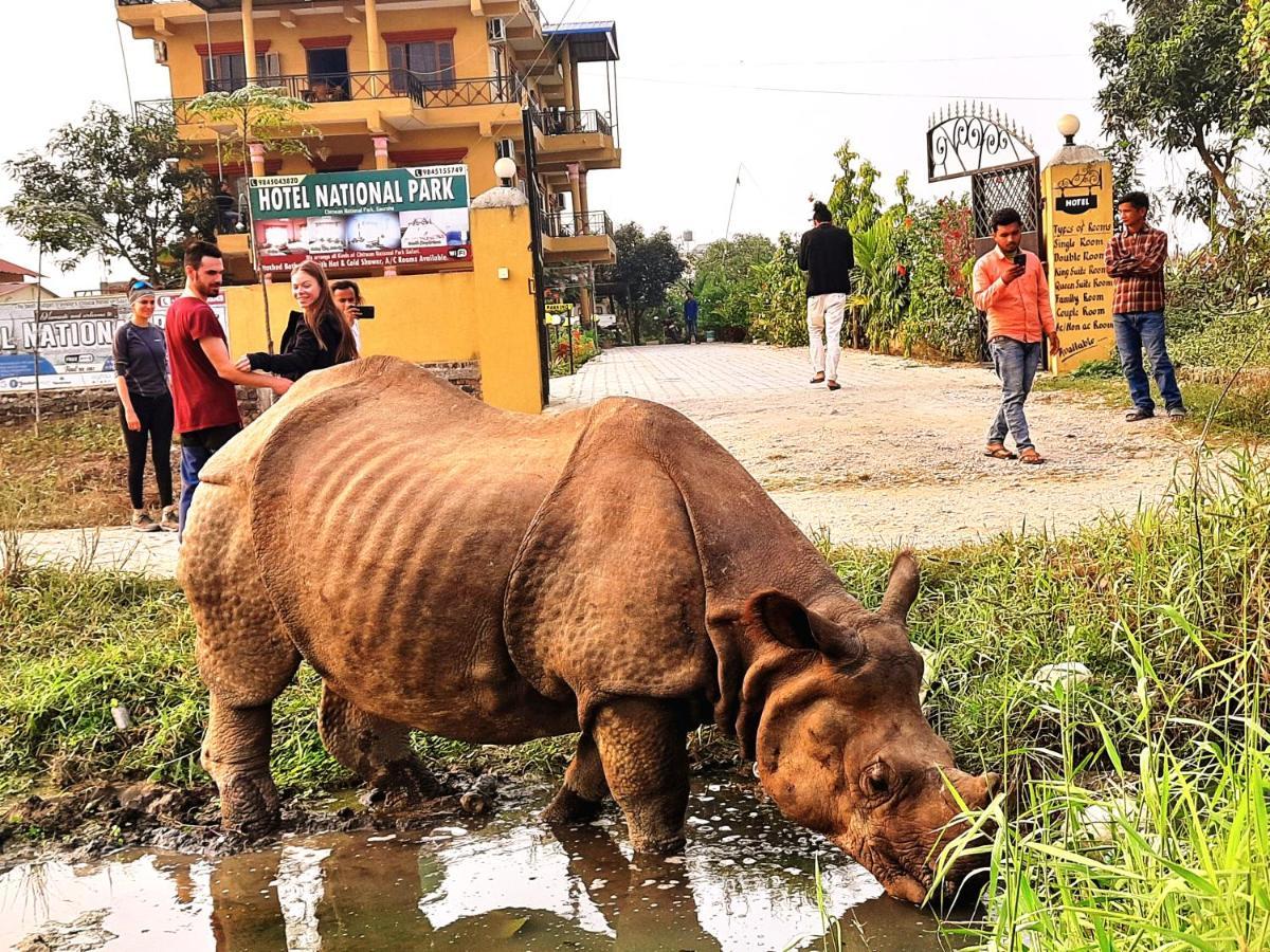 Hotel National Park Sauraha- Homely Stay And Peaceful Location With Jungle Safari Arrangements Esterno foto