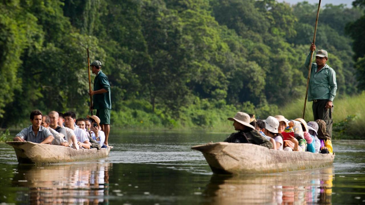 Hotel National Park Sauraha- Homely Stay And Peaceful Location With Jungle Safari Arrangements Esterno foto