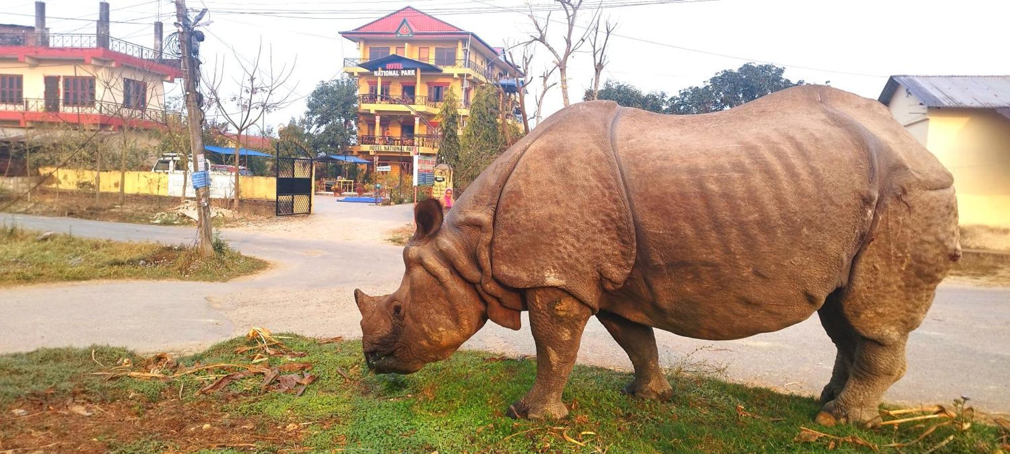Hotel National Park Sauraha- Homely Stay And Peaceful Location With Jungle Safari Arrangements Esterno foto