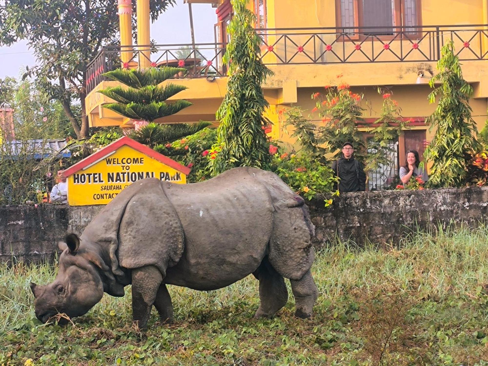 Hotel National Park Sauraha- Homely Stay And Peaceful Location With Jungle Safari Arrangements Esterno foto